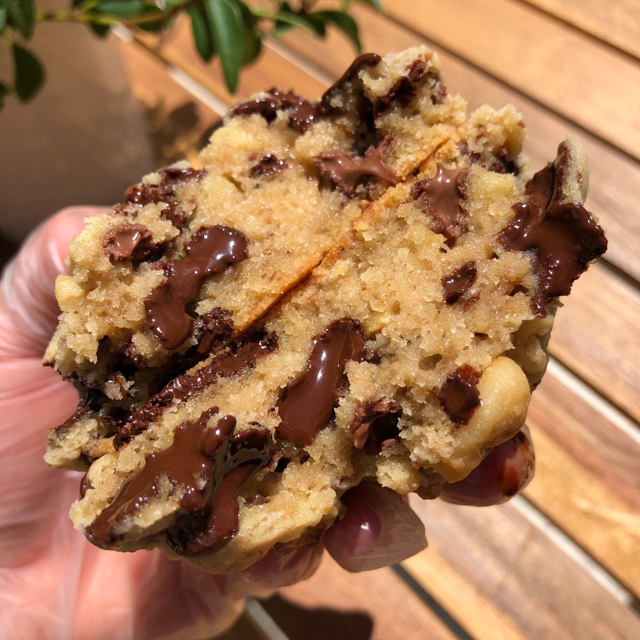 Chocolate Chips